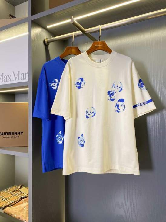 Picture of Burberry T Shirts Short _SKUBurberryS-2XLaztx955819919